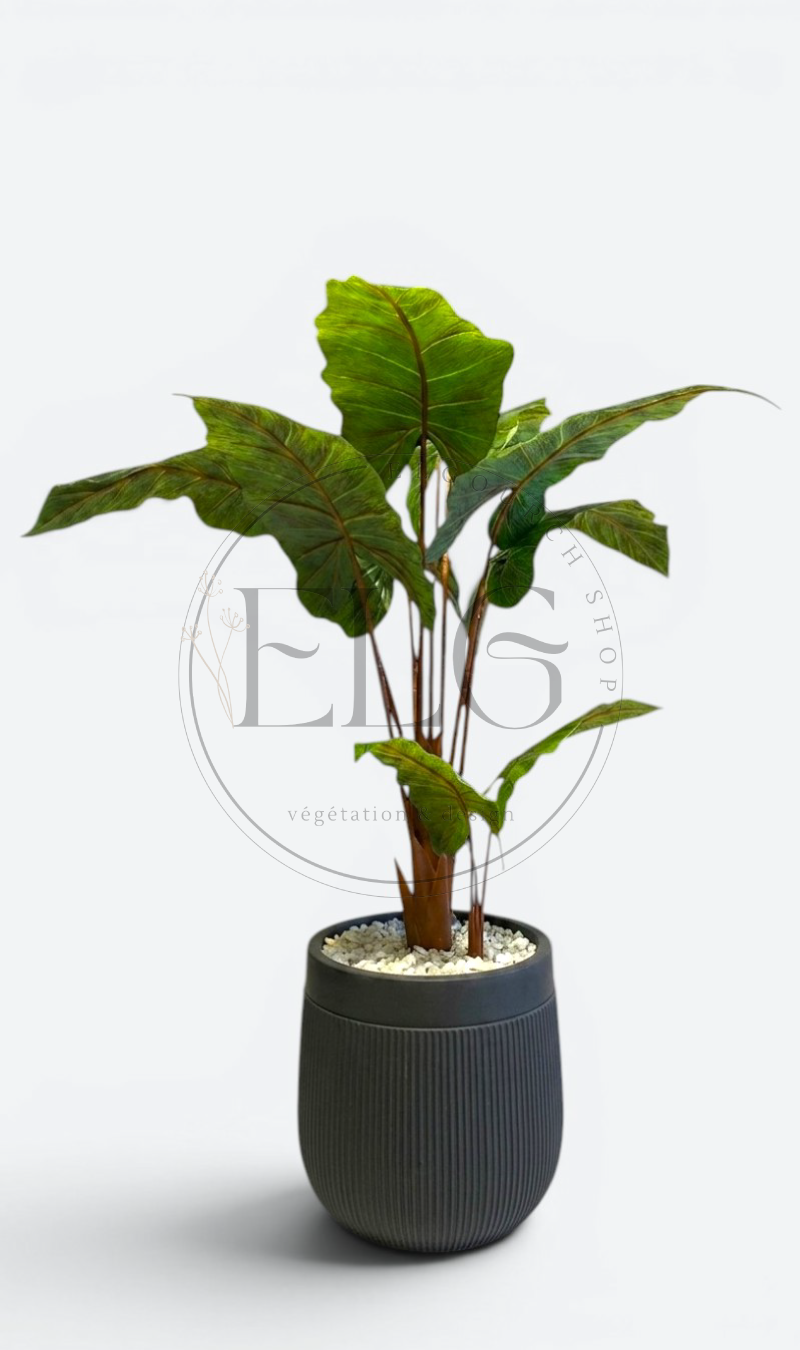 Alocasia - plante artificielle