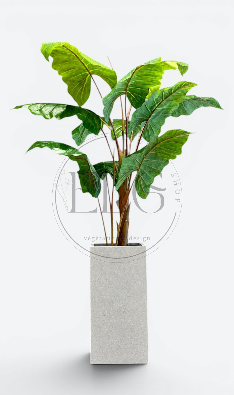 Alocasia - plante artificielle