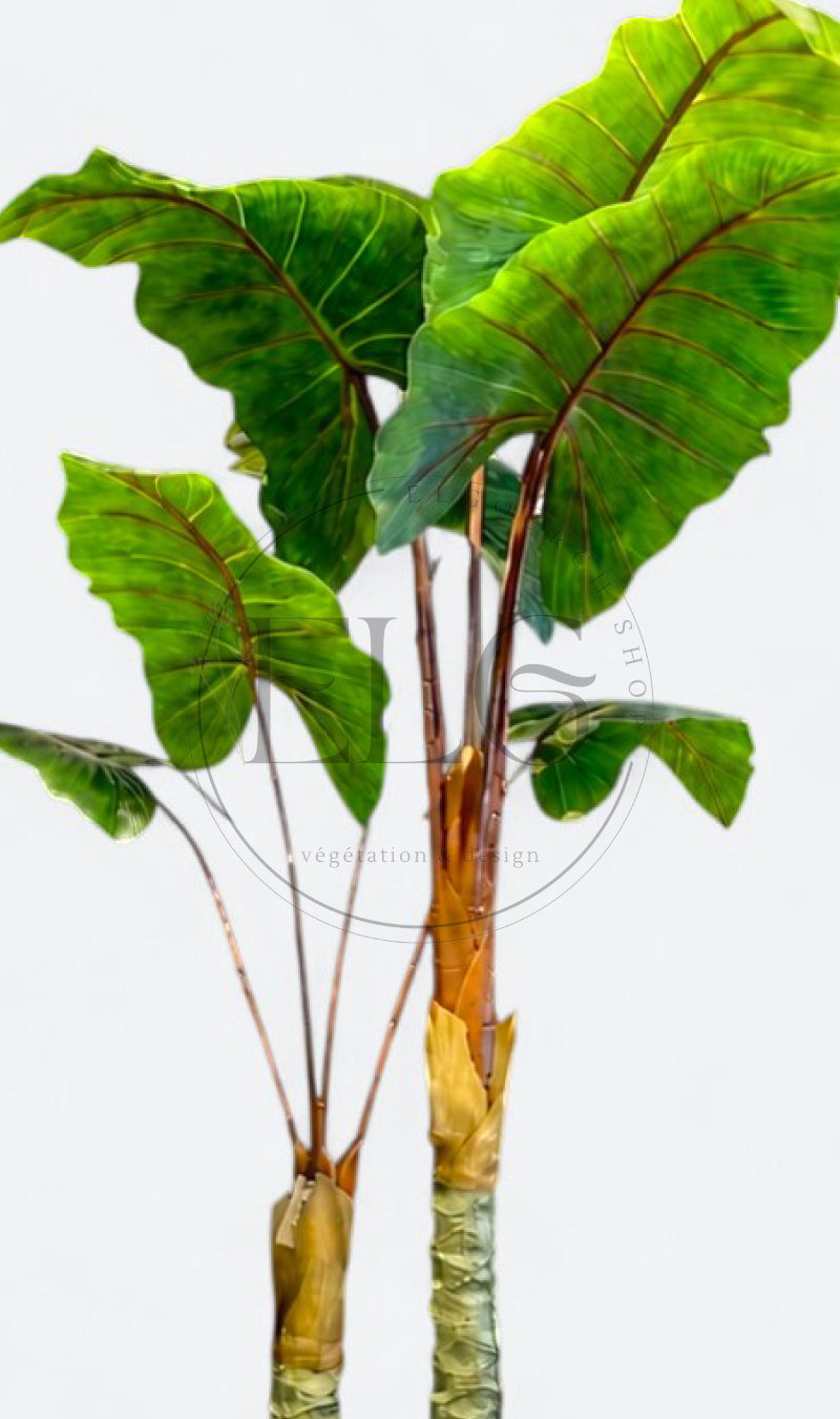 Alocasia - plante artificielle