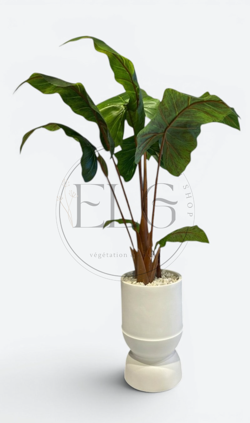 Alocasia - plante artificielle