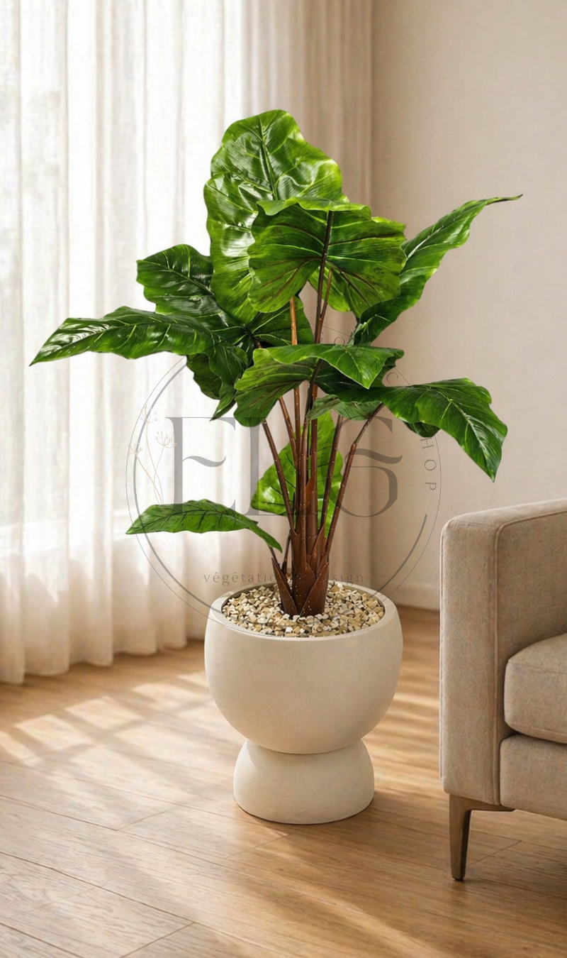Alocasia - plante artificielle