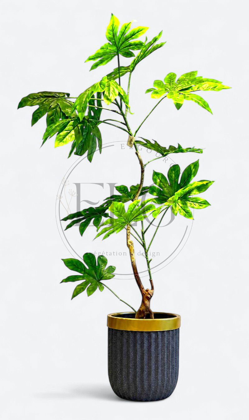 Fatsia - plante artificielle