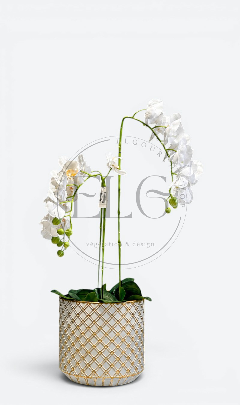 Orchidée papillon - plante artificielle
