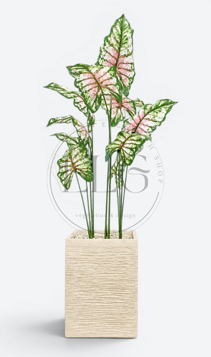 Caladium - plante artificielle