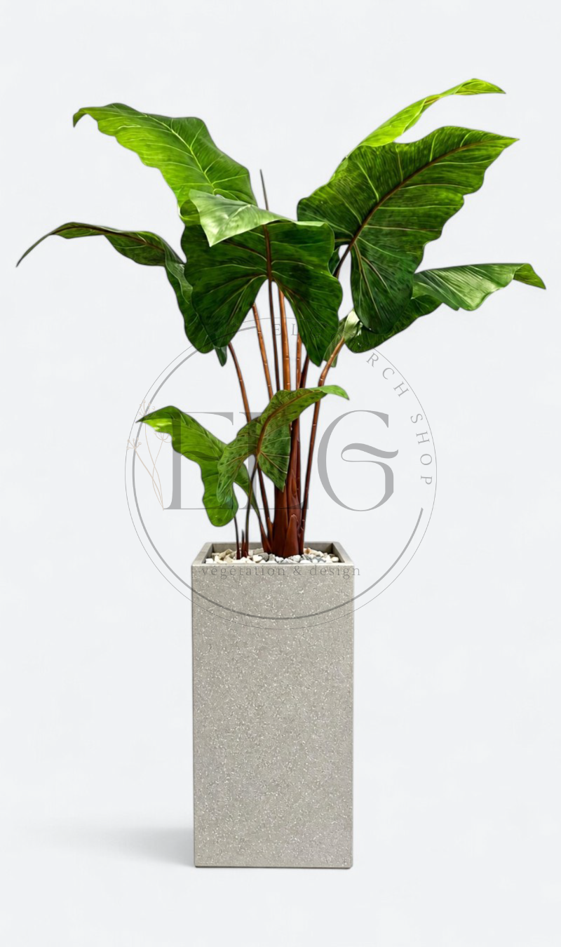Alocasia - plante artificielle