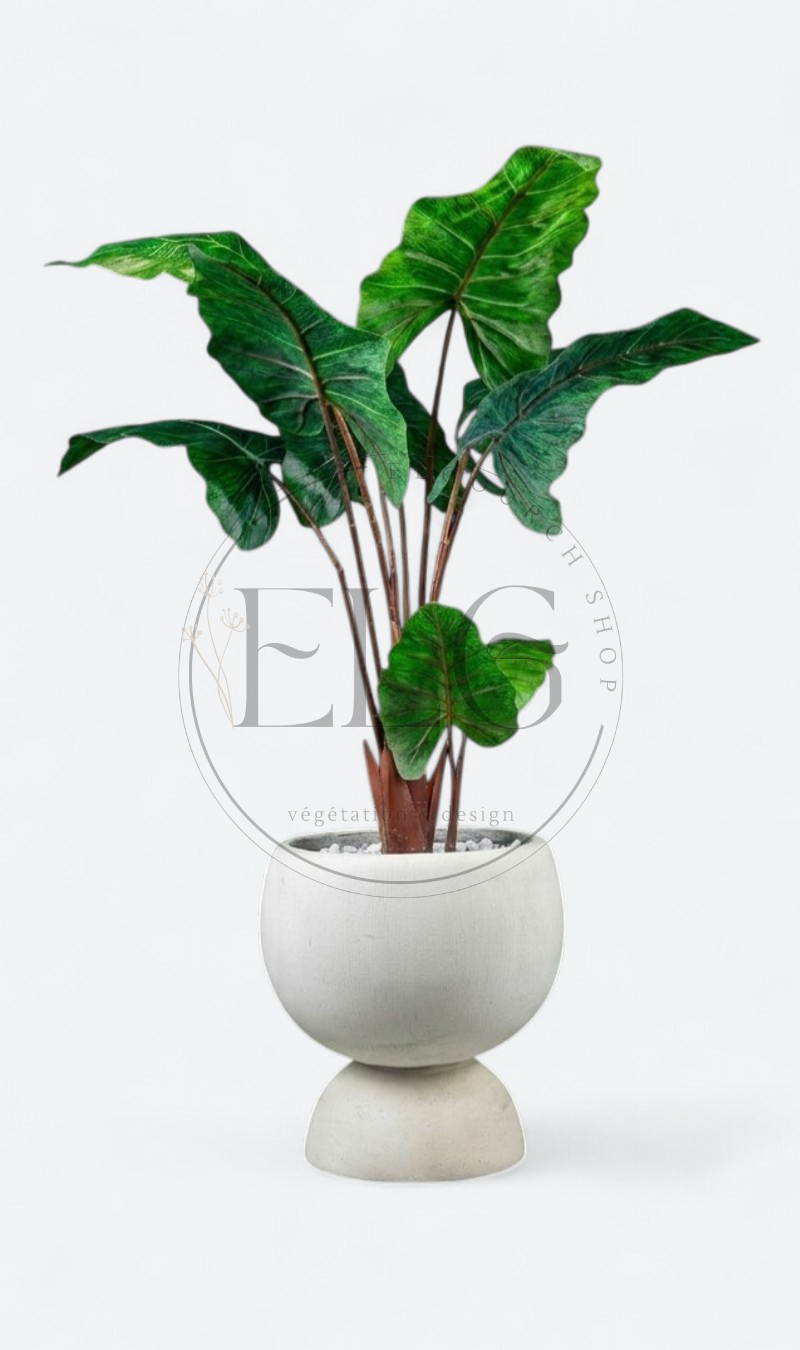 Alocasia - plante artificielle