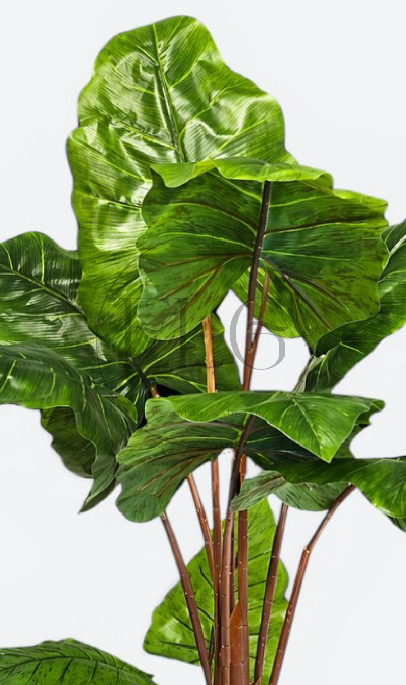 Alocasia - plante artificielle