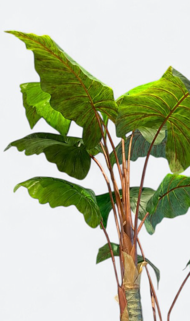 Alocasia - plante artificielle