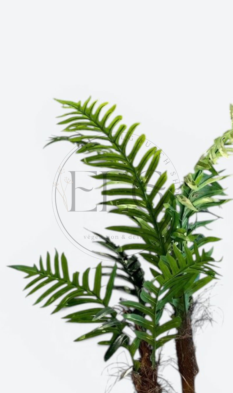 Palmier - plante artificielle
