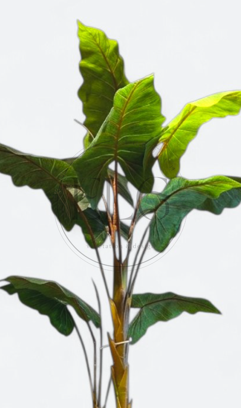 Alocasia - plante artificielle