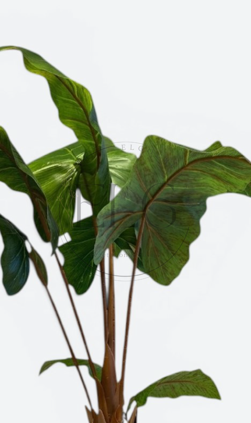 Alocasia - plante artificielle