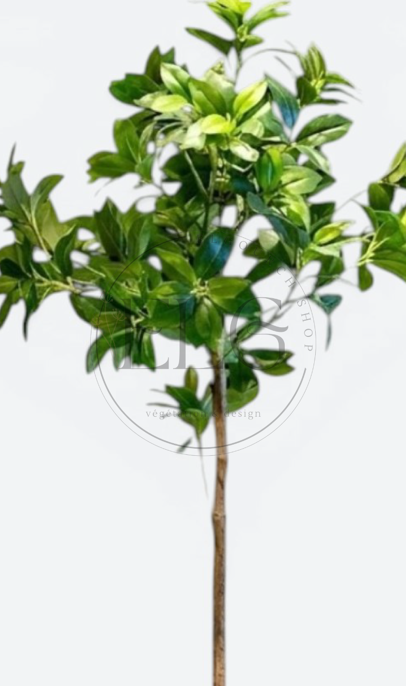 Schefflera - plante artificielle