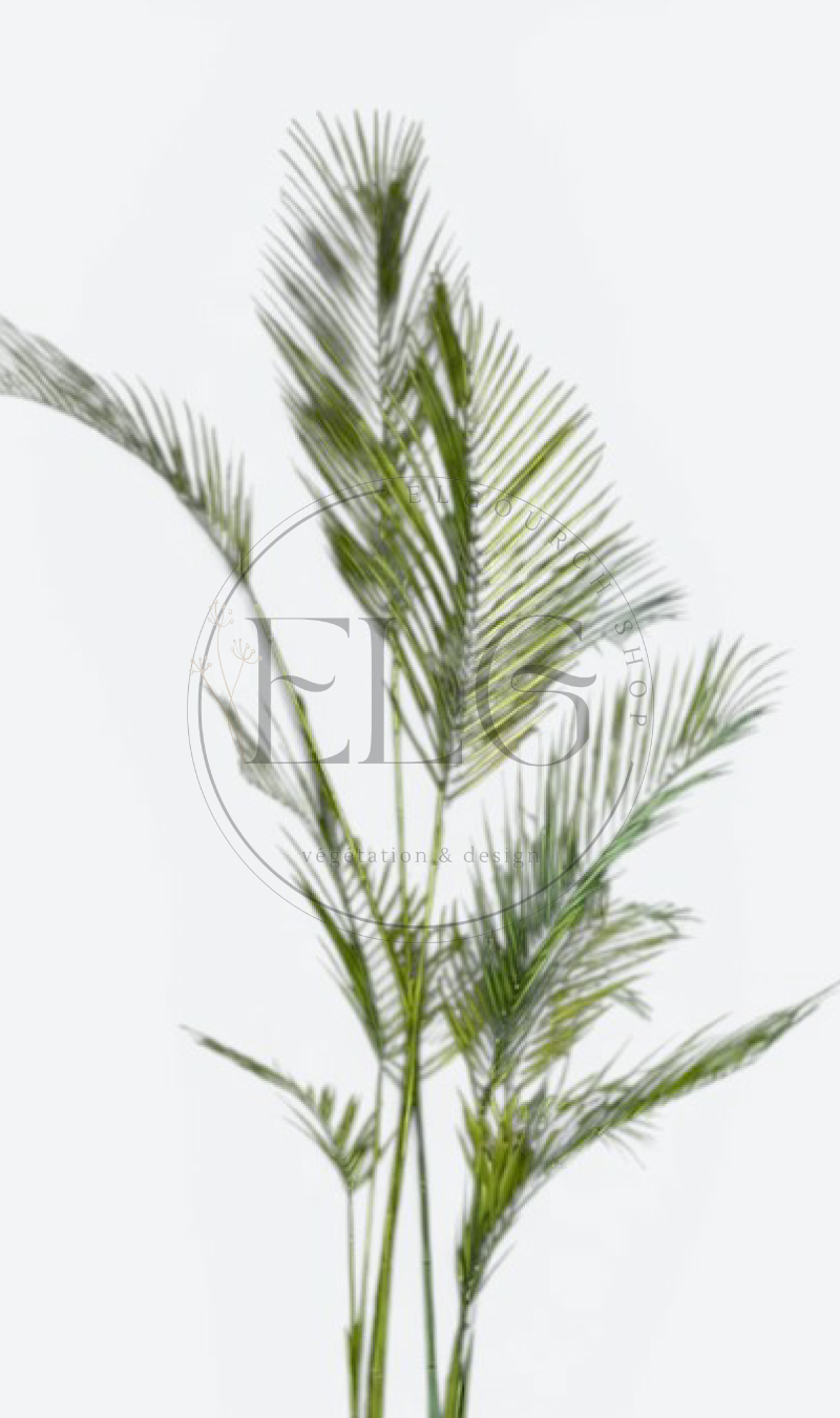 Palmier - plante artificielle