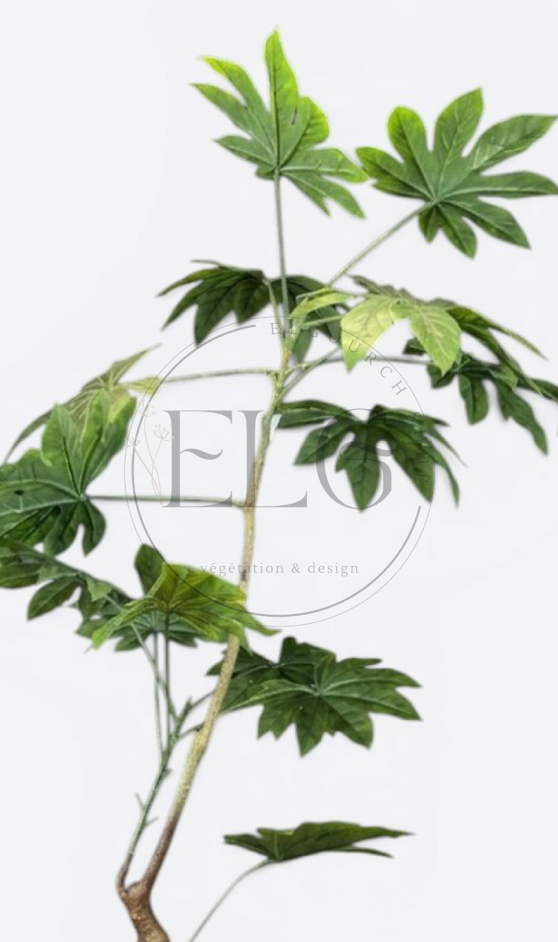 Aralia du Japon - plante artificielle