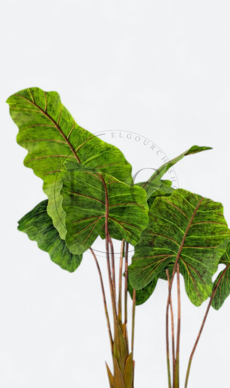 Alocasia - plante artificielle