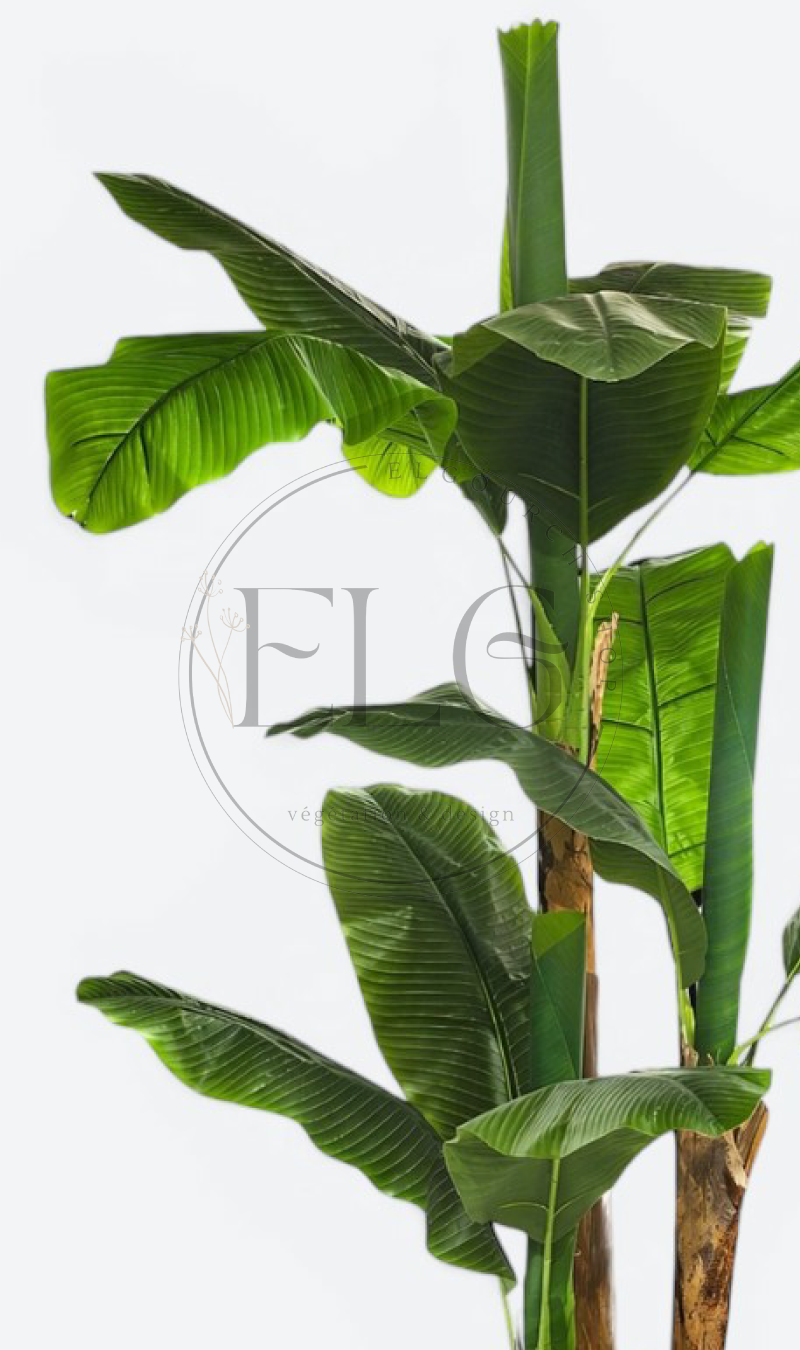 BANANIER - plante artificielle