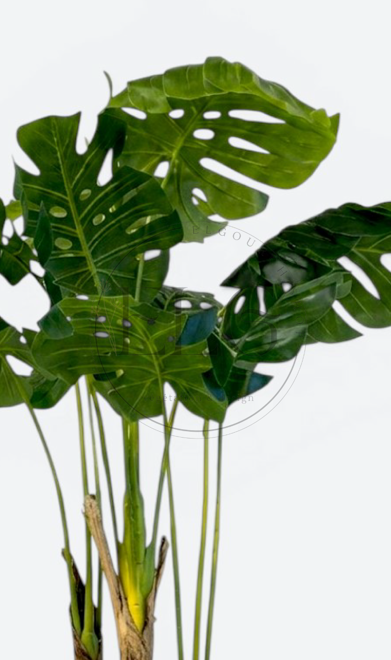 Monstera - plante artificielle