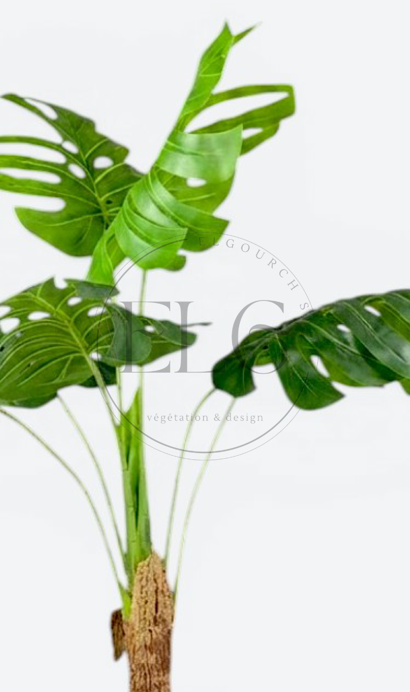 Monstera - plante artificielle