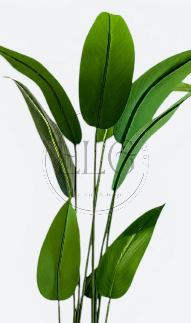 Oiseau de paradis - plante artificielle