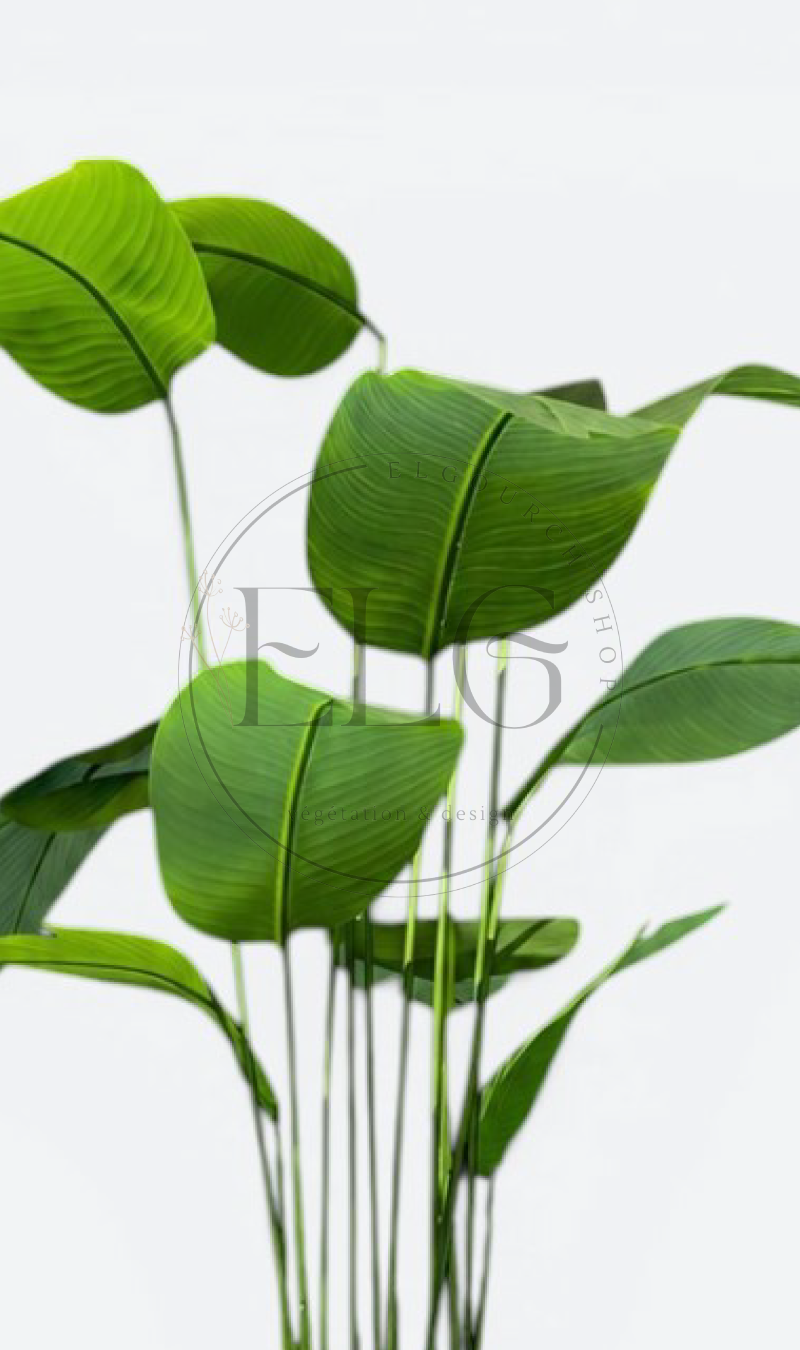 Oiseau de paradis - plante artificielle