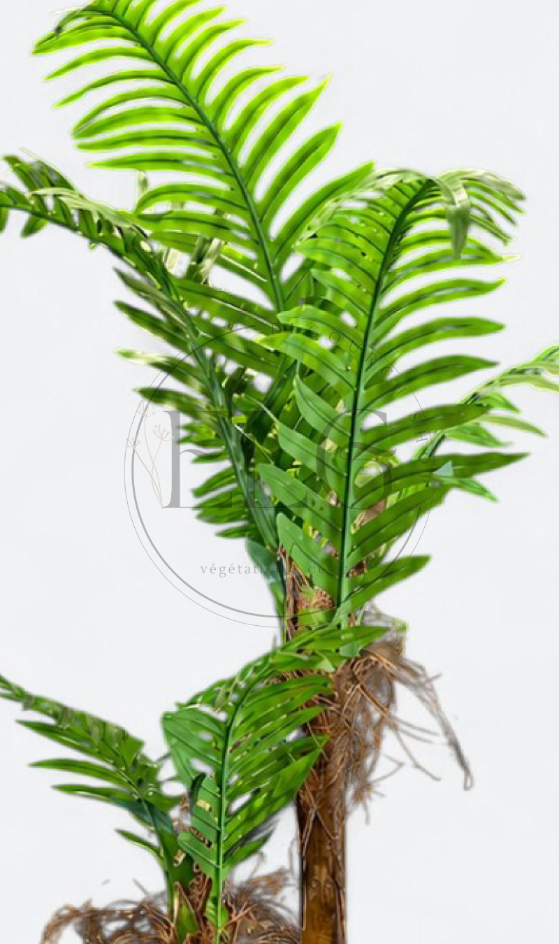 Palmier - plante artificielle