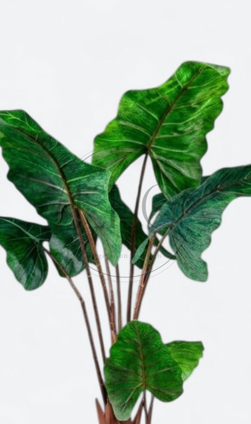 Alocasia - plante artificielle