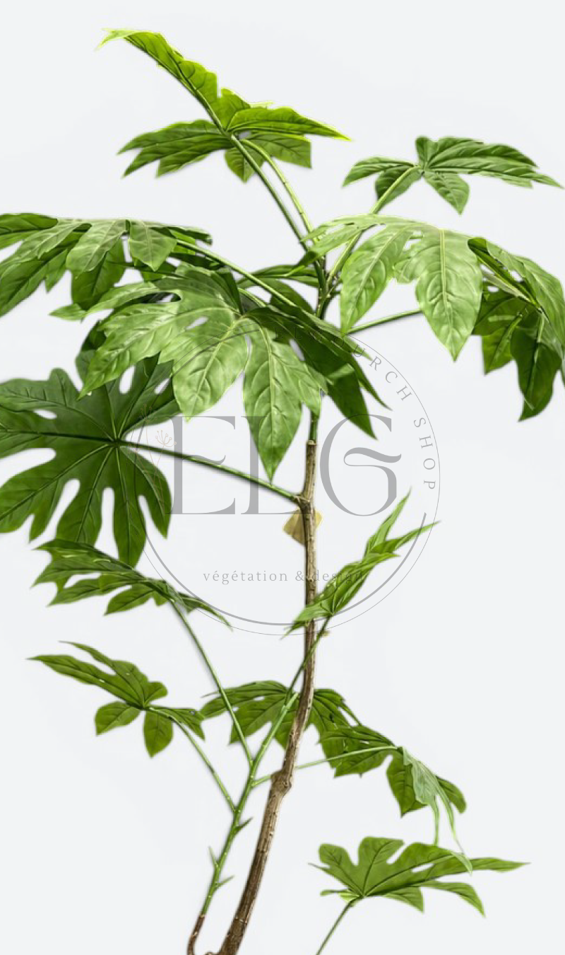 Aralia du Japon - plante artificielle