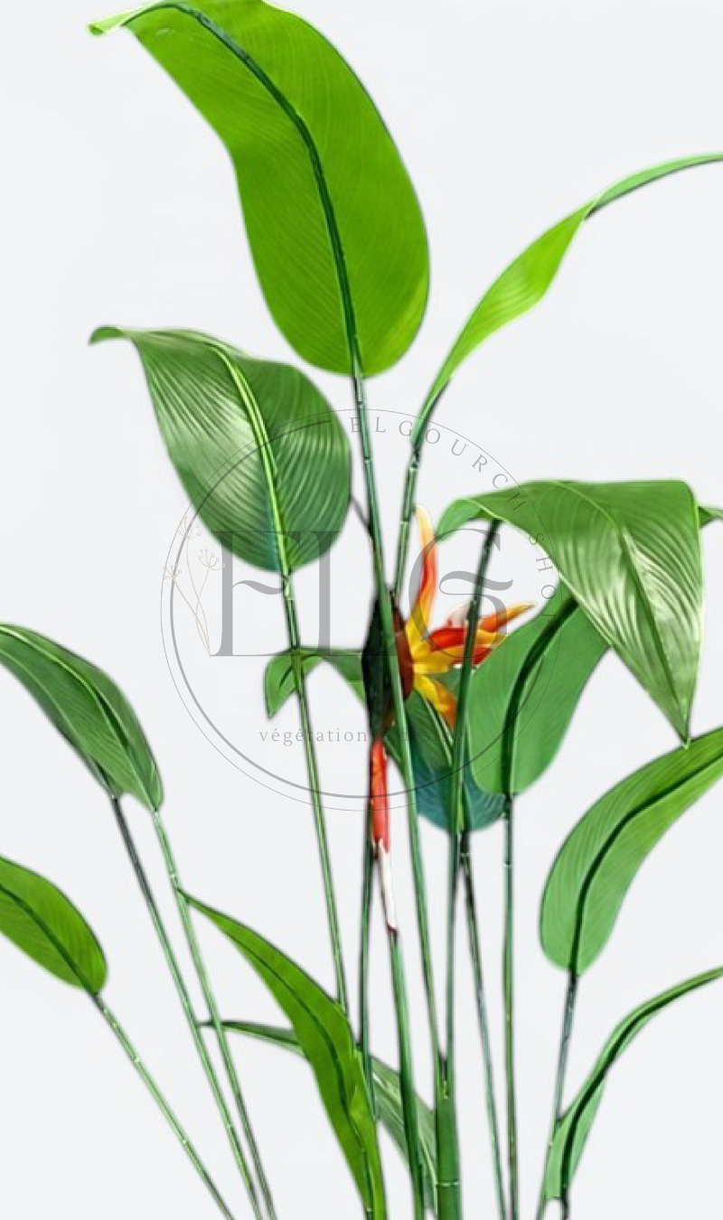 Oiseau de paradis - plante artificielle