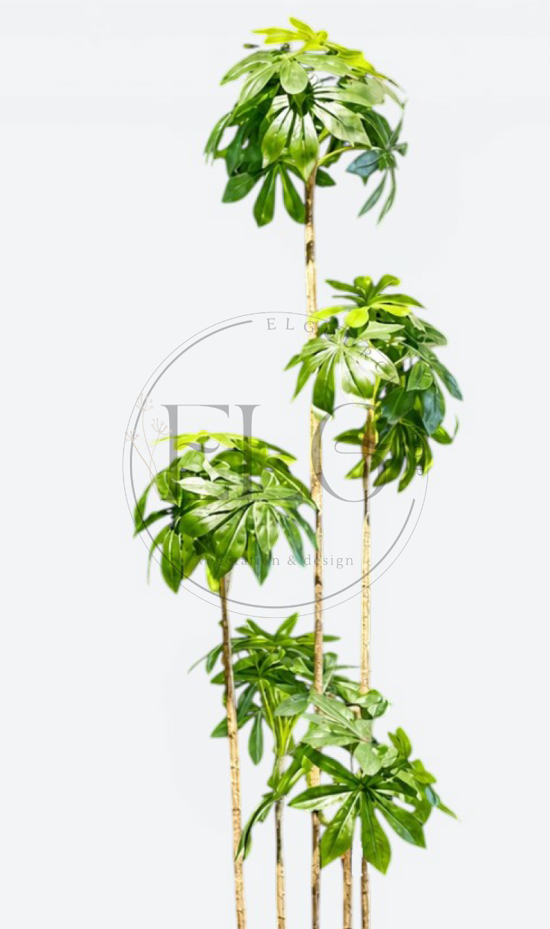 Schefflera - plante artificielle