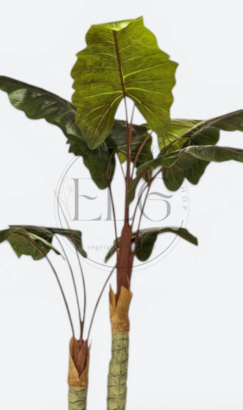 ARBRE BETTERAVE - plante artificielle