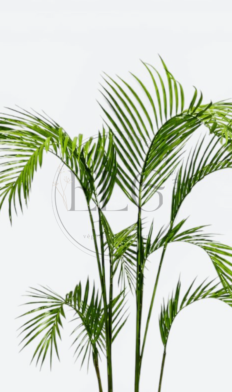 Palmier - plante artificielle