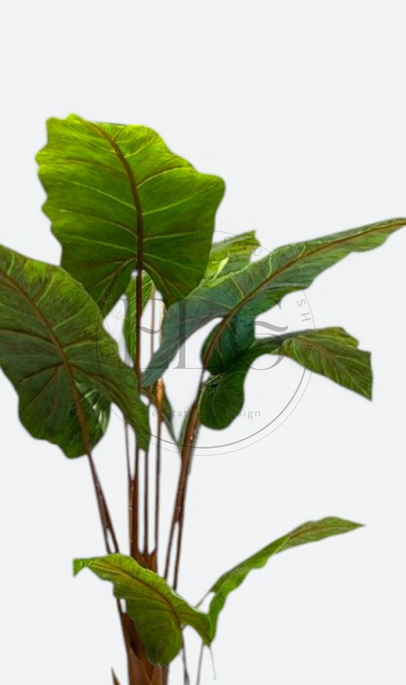 Alocasia - plante artificielle