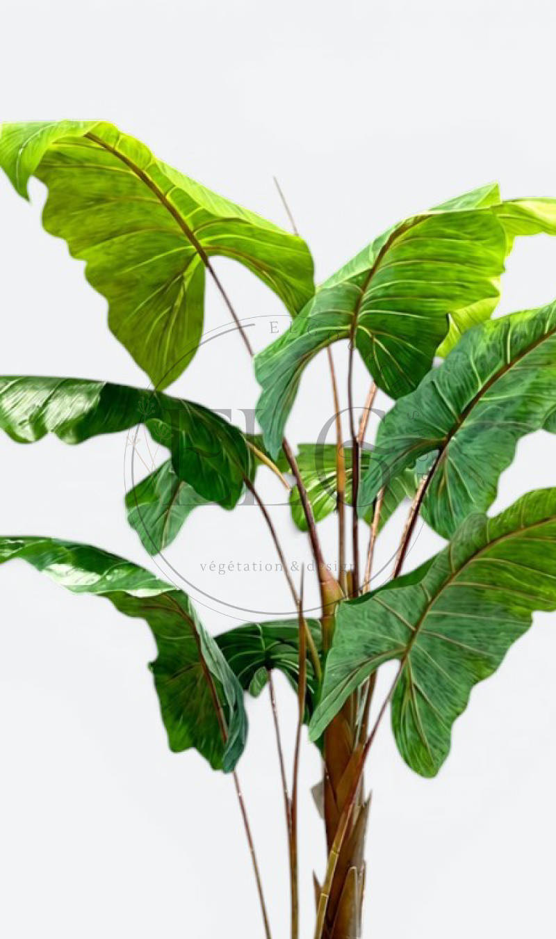 Alocasia - plante artificielle