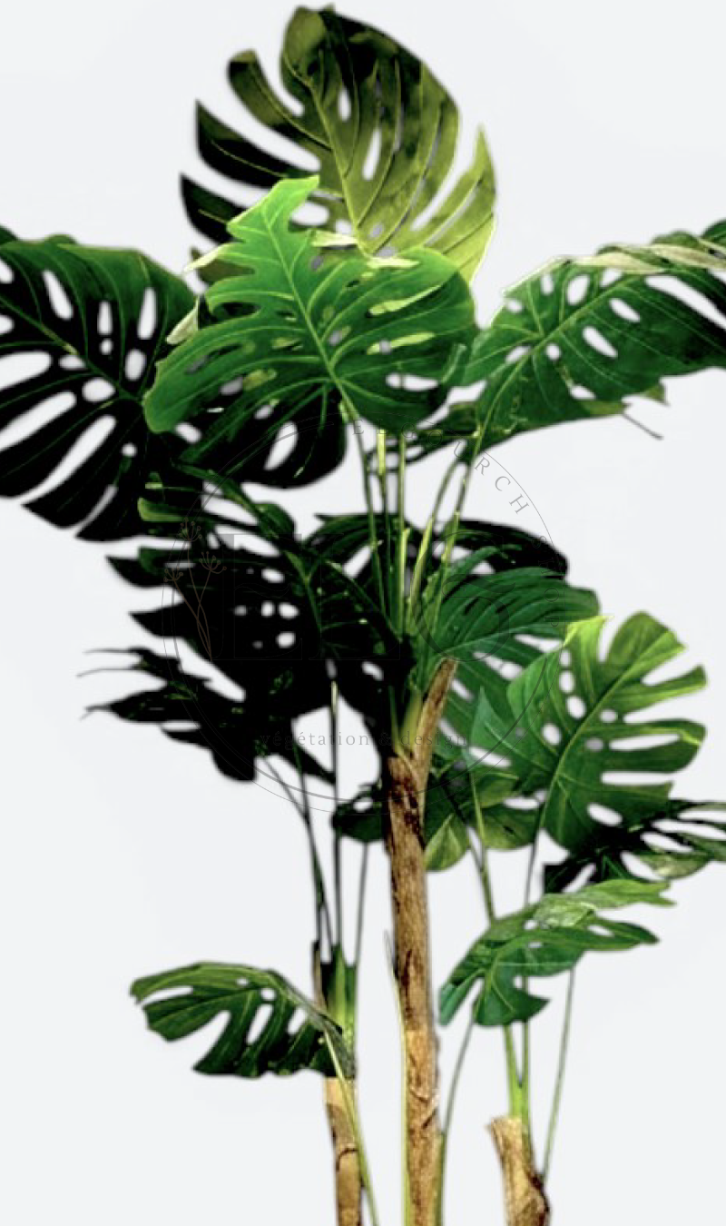 Monstera - plante artificielle