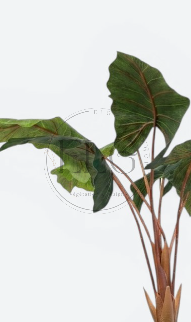 Alocasia - plante artificielle