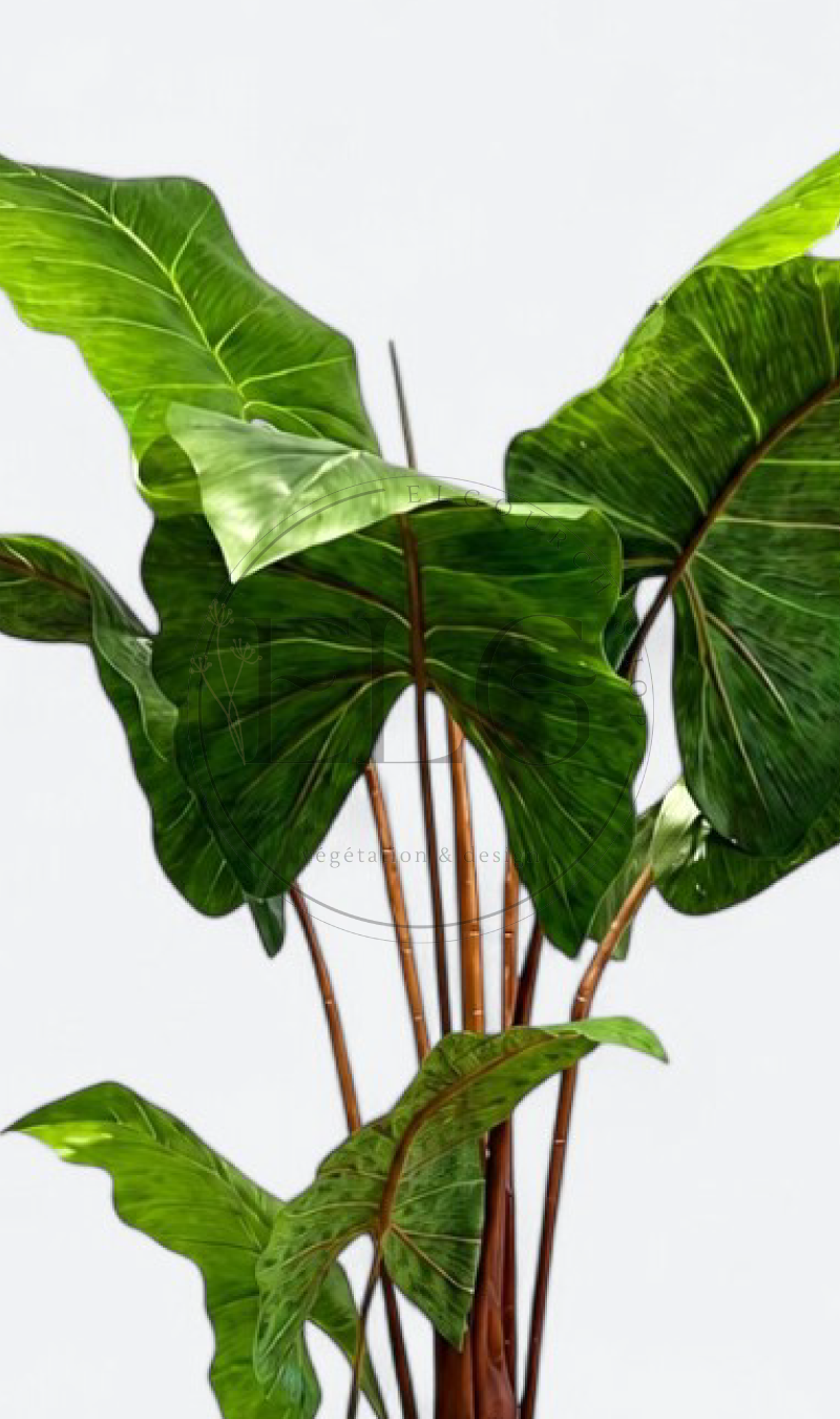 Alocasia - plante artificielle