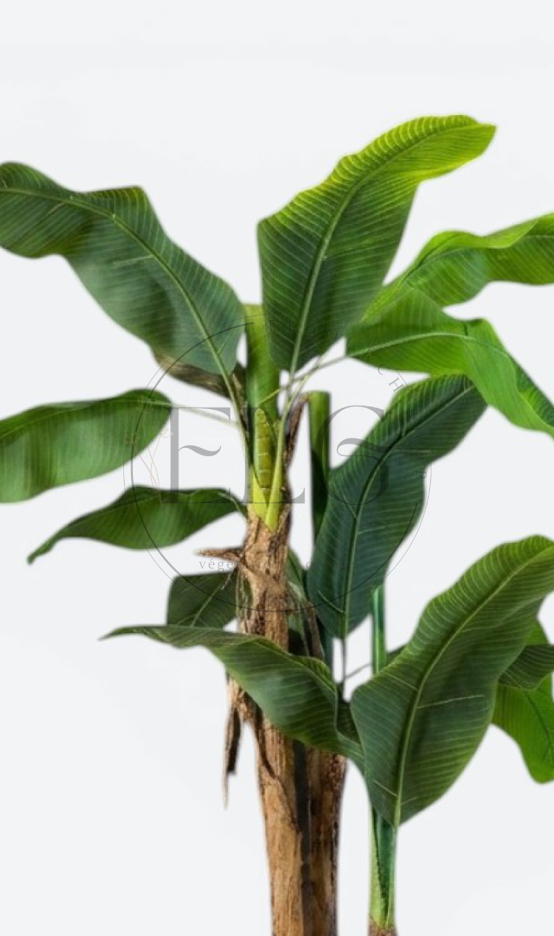 Bananier - plante artificielle