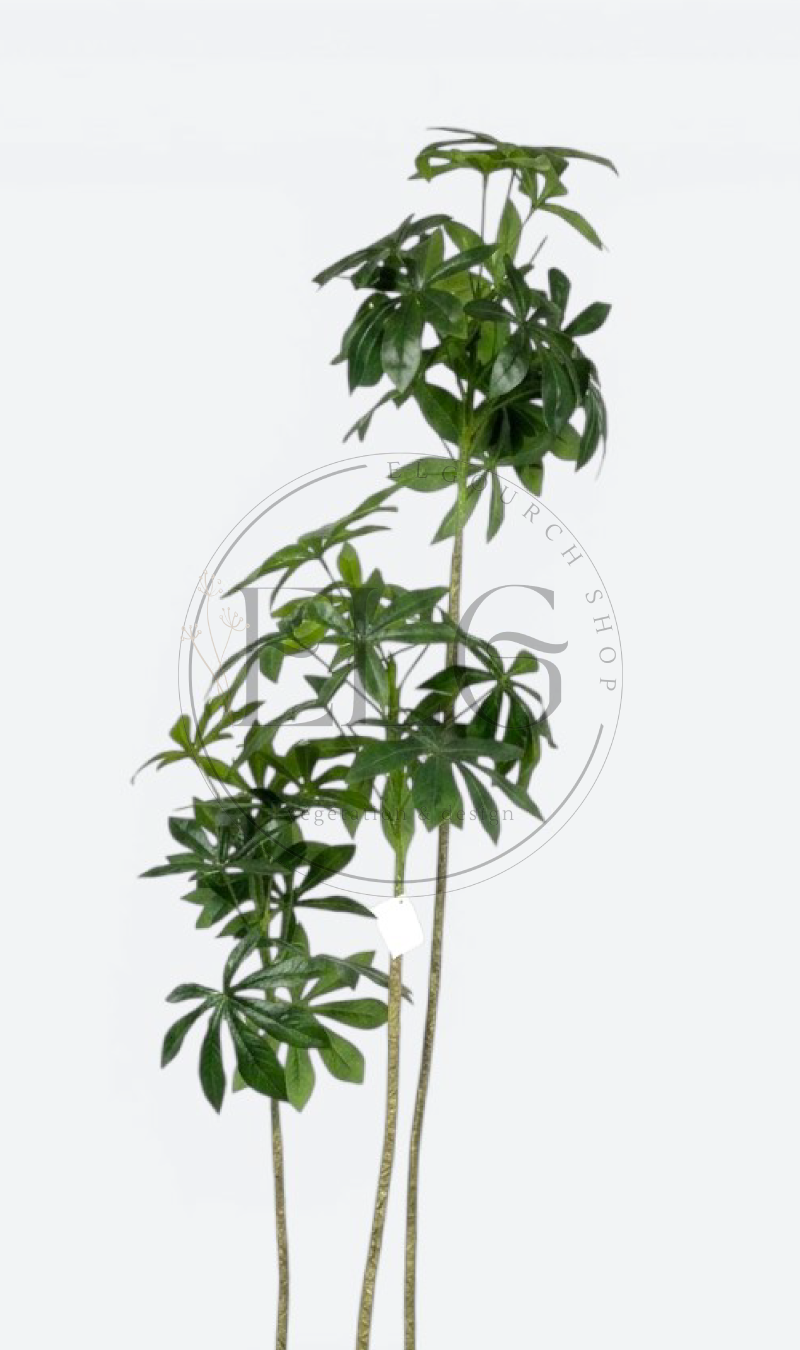 Schefflera - plante artificielle