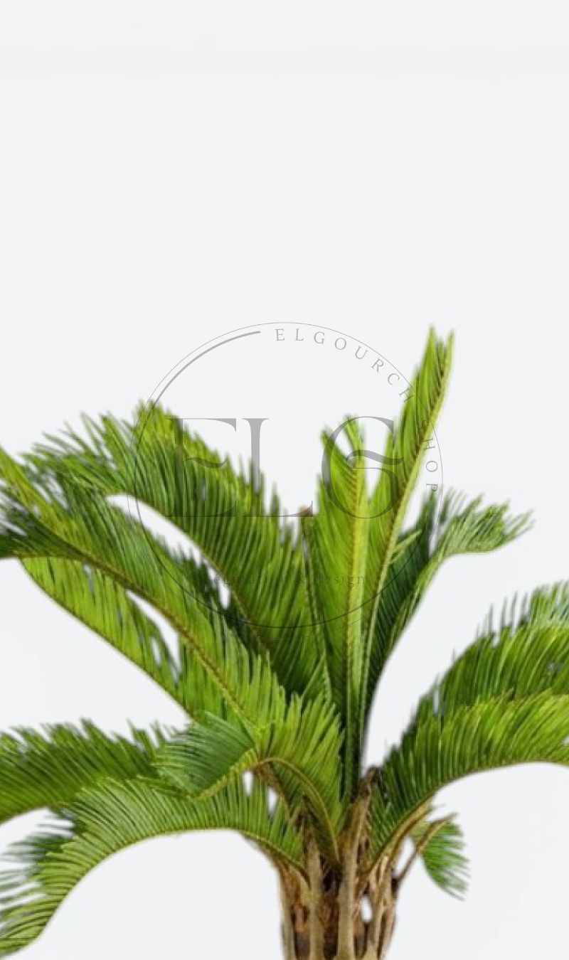 Palmier - plante artificielle
