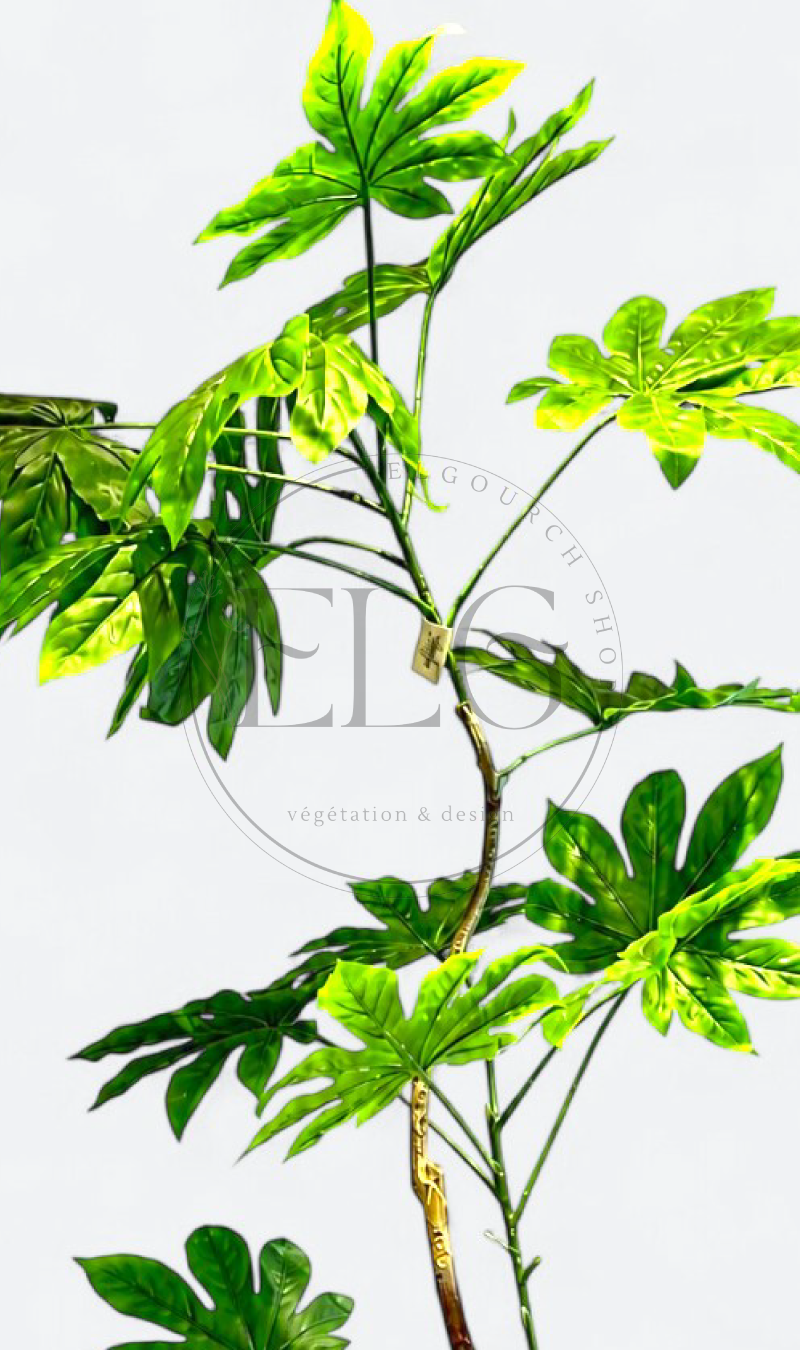 Fatsia - plante artificielle
