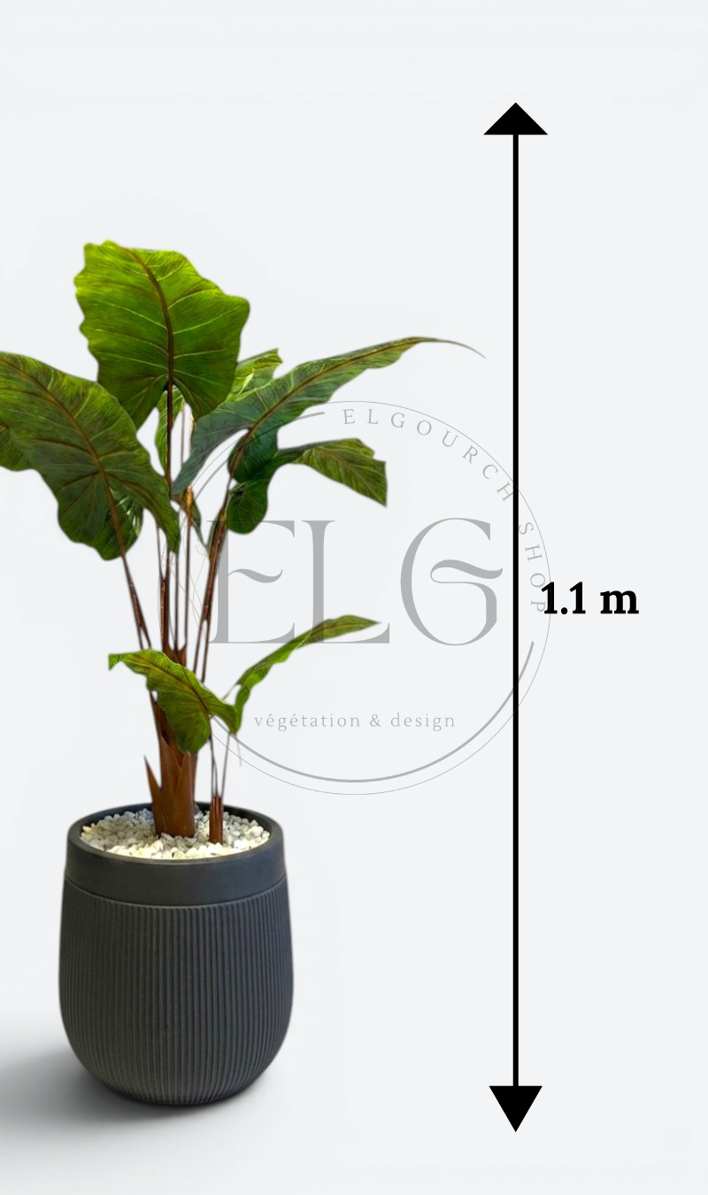Alocasia - plante artificielle