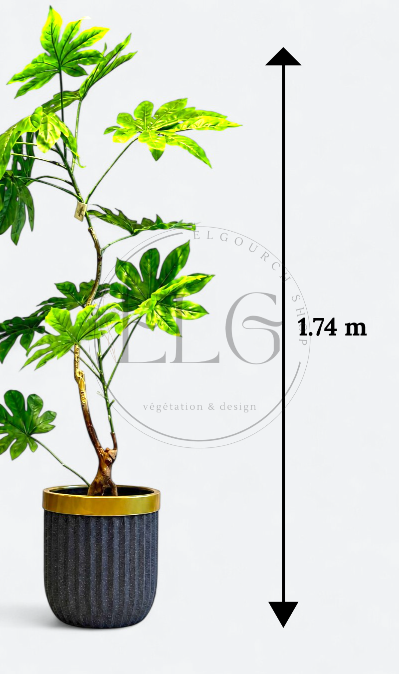 Fatsia - plante artificielle