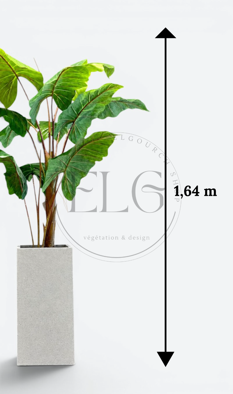 Alocasia - plante artificielle