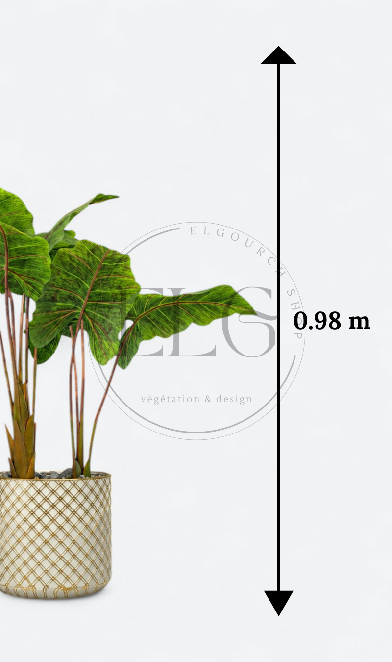 Alocasia - plante artificielle