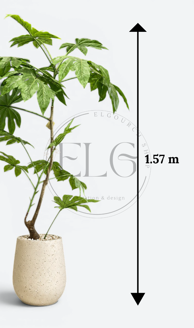 Aralia du Japon - plante artificielle
