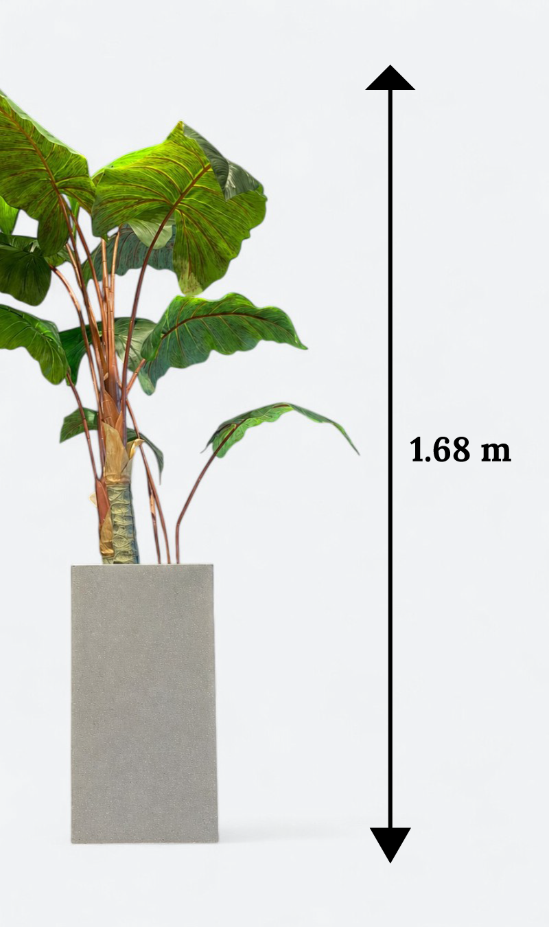 Alocasia - plante artificielle