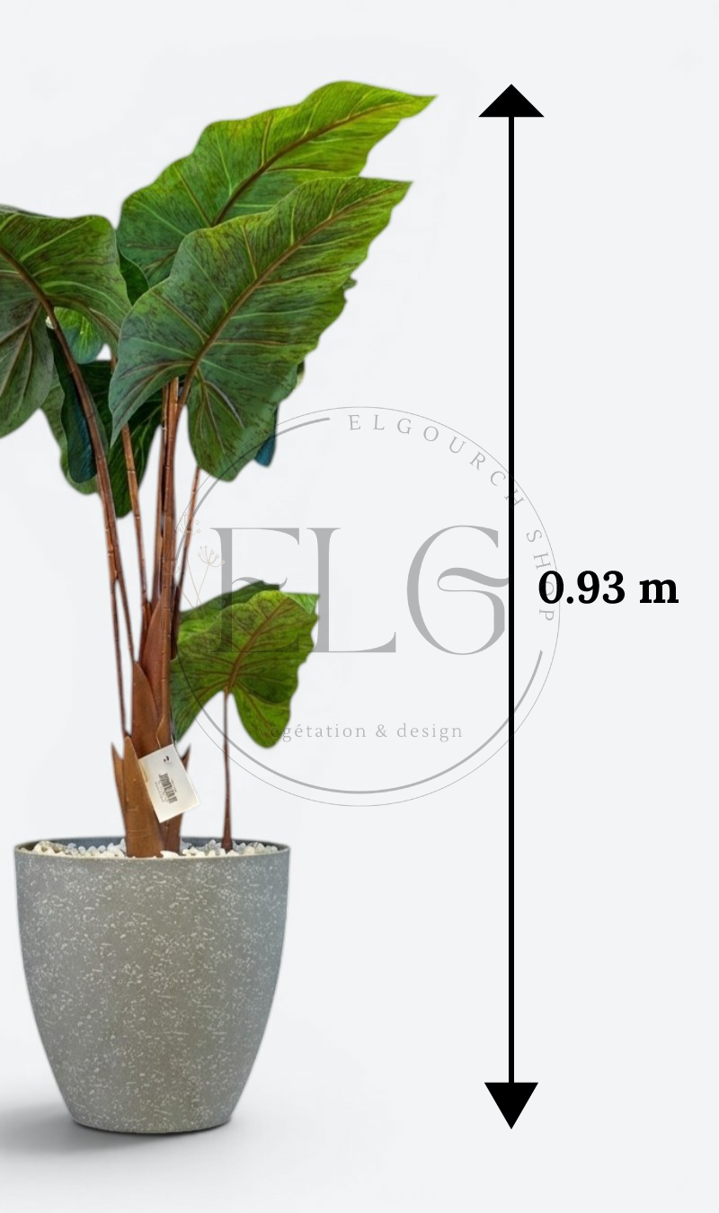 Alocasia - plante artificielle