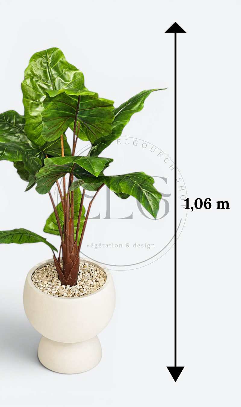 Alocasia - plante artificielle