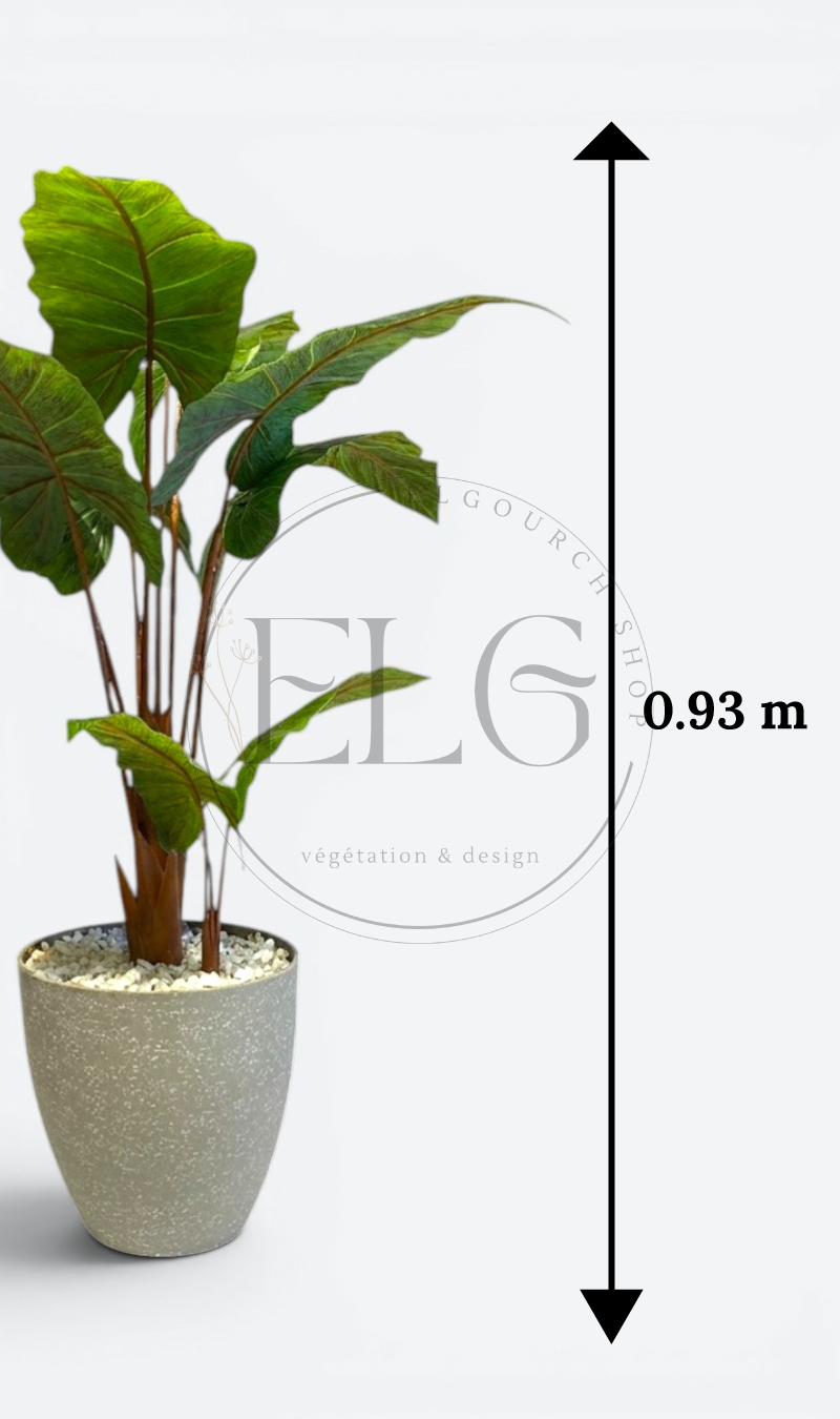 Alocasia - plante artificielle