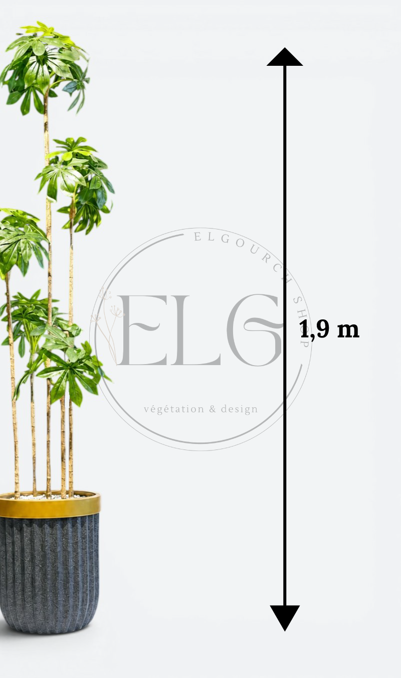 Schefflera - plante artificielle